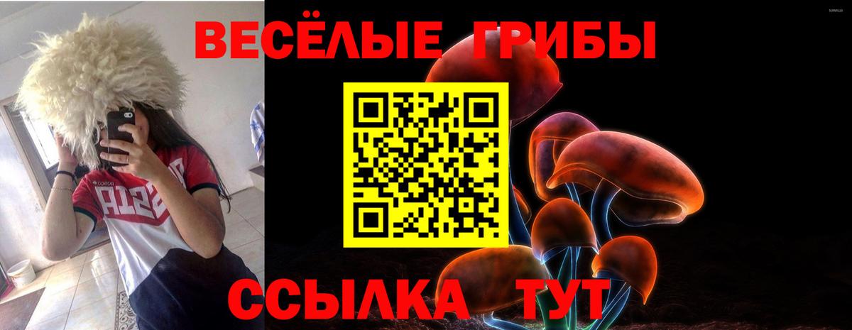 Псилоцибиновые грибы прущие грибы  Вход с VPN  Астрахань 