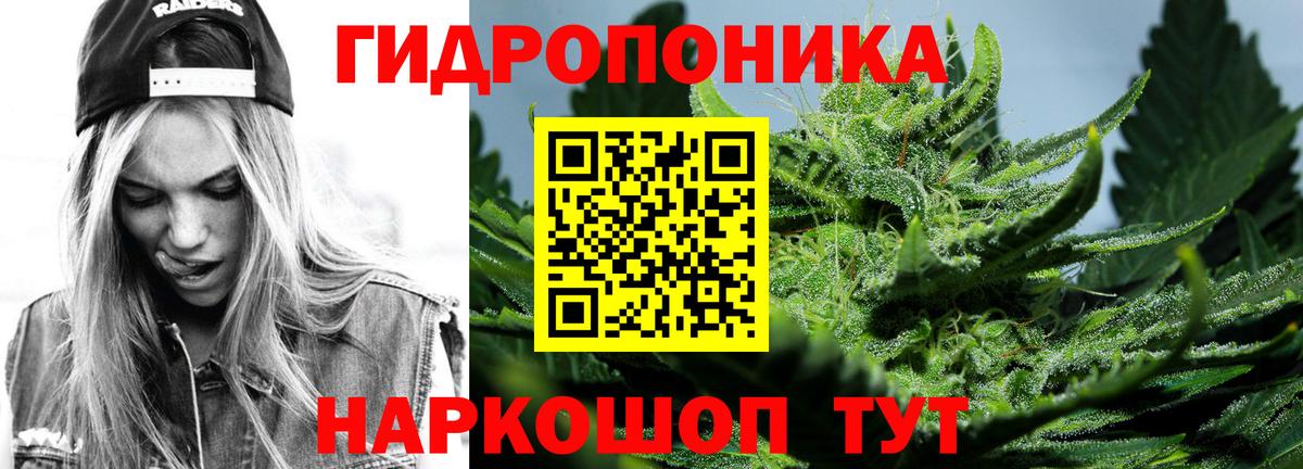Астрахань  Шишки марихуана планчик  Шишки марихуана OG Kush  Конопля Ganja  Вход с VPN 